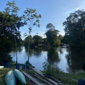 Achtergrond foto voor de website van Robyn Towiredjo van het binnenland in Suriname