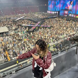 Foto van concert Chris Brown voor de website van Robyn Towiredjo