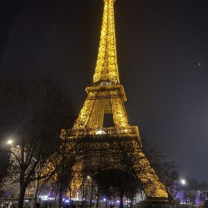 Foto Parijs voor de website van Robyn Towiredjo